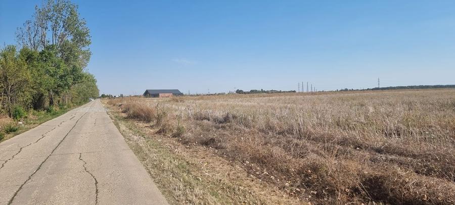 Teren agricol intravilan de 10000 mp, în Tâncăbești