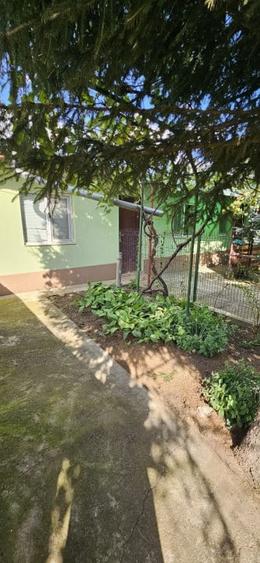 Casă individuală cu 2 camere cu Teren 2000 Mp în Movilița