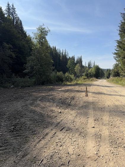 Teren de 1981 mp, în Cheia