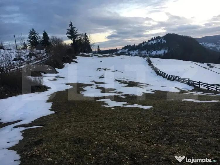 Teren de 2050 mp, în Scărișoara