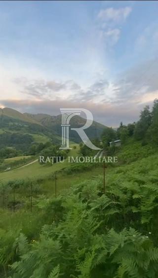 Teren 10.900mp | Panoramă în Apuseni | Remeți -Ideal pentru Investitii - 7