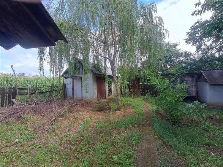 Casă cu 2 camere cu Teren 4960 Mp în Crestur