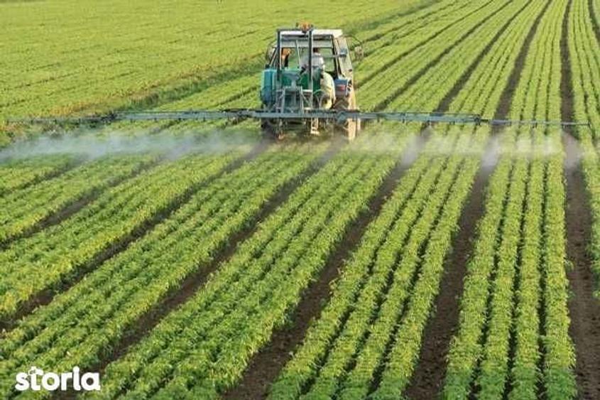 Teren agricol de vanzare, Comuna Nasturelu, Judetul Teleorman - 1
