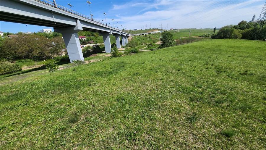 Teren Construcții intravilan de 4438 mp, în Bulai