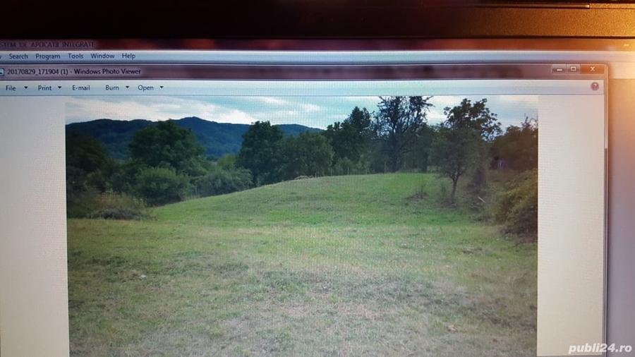 Teren de 4800 mp, în Vidra