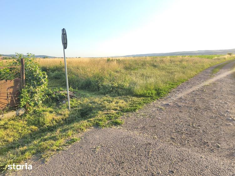 Teren de 3500 mp, în Ernei