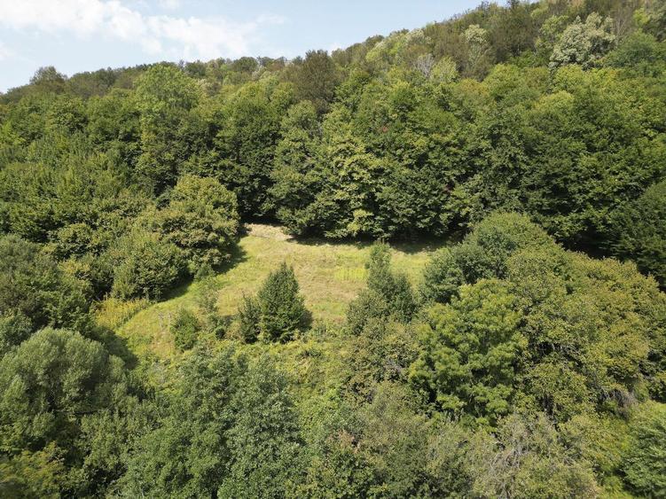 Teren intravilan de 1500 mp pe deal in Moneasa - 3