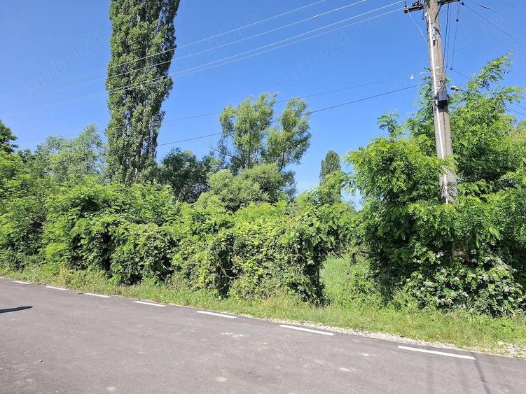 Teren de 10000 mp, în Ghirdoveni