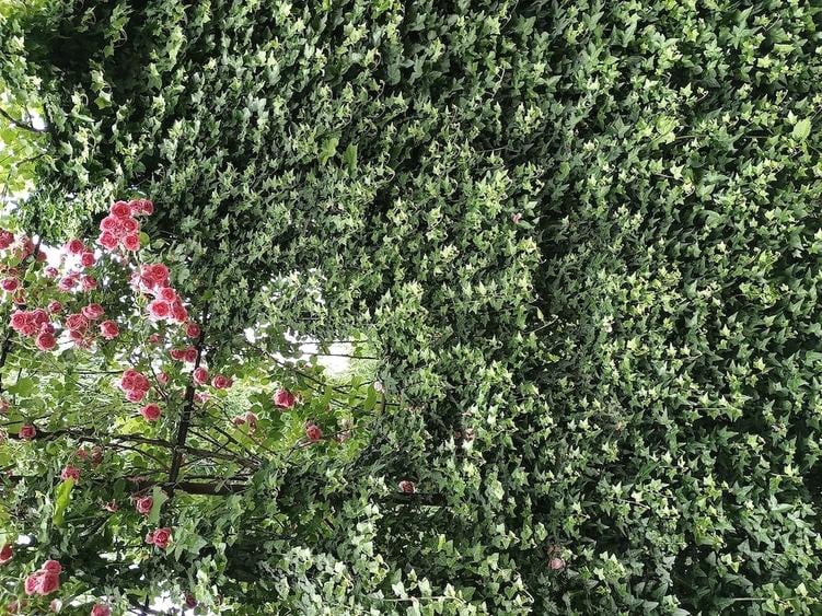 Casă cu 6 camere cu Teren 450 Mp în Berceni