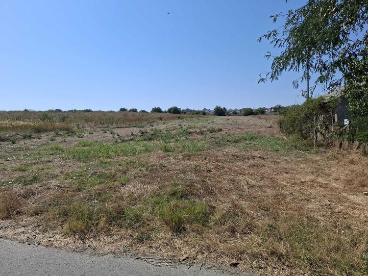 Teren intravilan 891 mp Valea lui Traian, utilitati, drum privat - 4