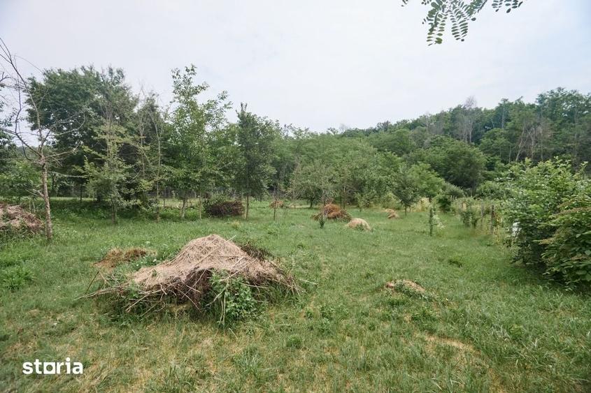 Teren de 2240 mp, în Moșoaia