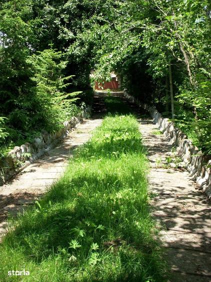 Teren de 14000 mp, în Mihai Viteazu