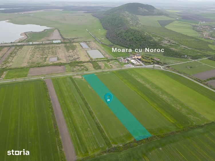 Teren de 22500 mp, în Ineu