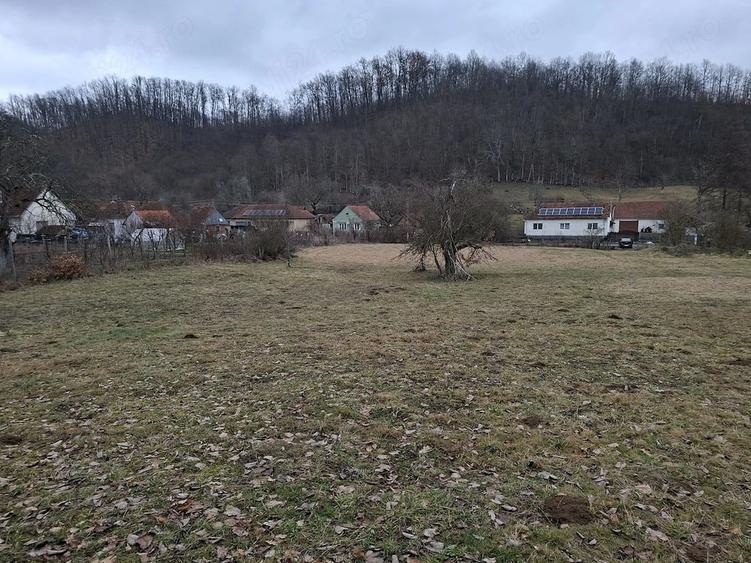 Teren de 3140 mp, în Alimpești