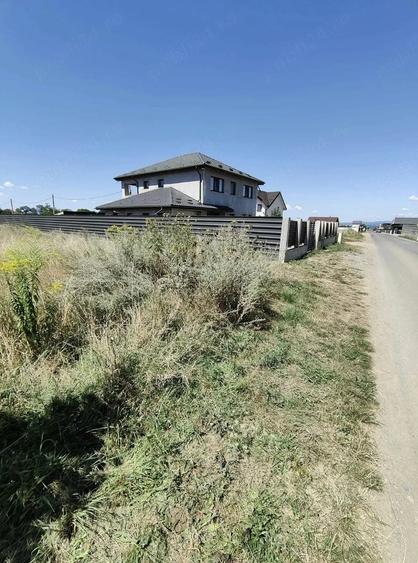 Teren de 3150 mp, în Tărlungeni