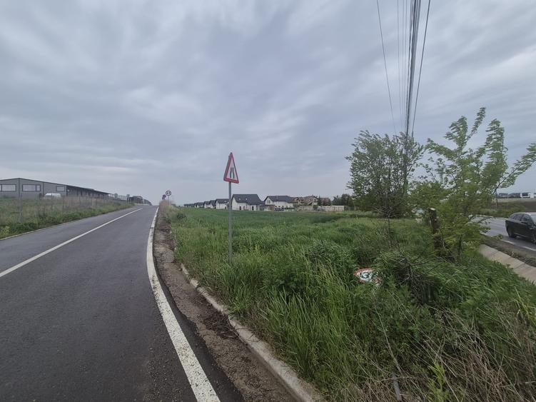 Teren Construcții intravilan de 2600 mp, în Moara