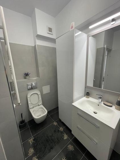 Apartament spre inchiriere - 11