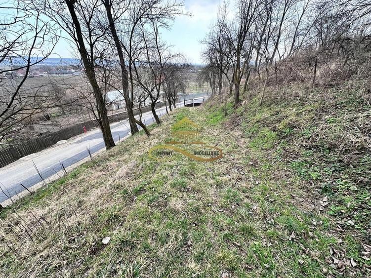 Teren Construcții intravilan de 11021 mp, în Blăgești