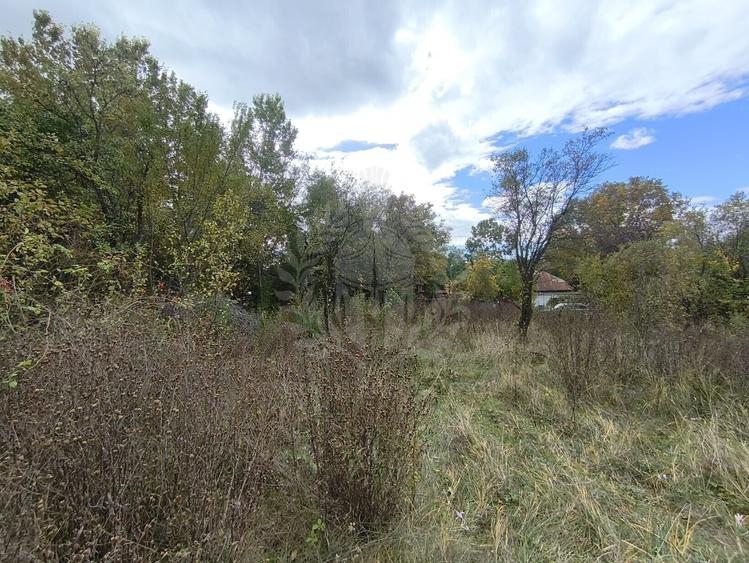 Teren Construcții intravilan de 3800 mp, în Cornu