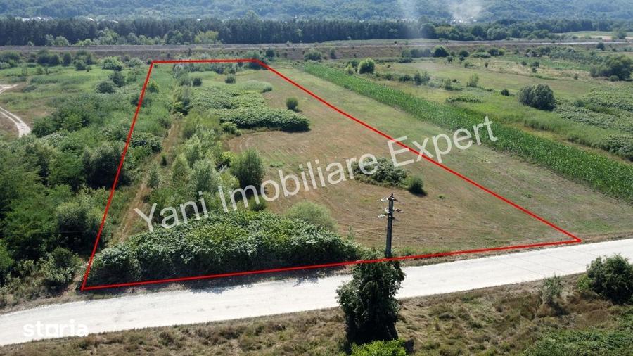 Teren de 8229 mp, în Băiculești