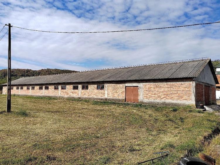 Spațiu comercial, de 3,000 mp, în Bunești (Mălureni)