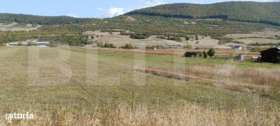 Teren 49 Ari, partial intravilan 13 ari, cu deschidere la DN17, Sieu M - 4
