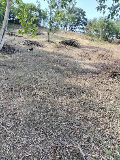 Teren de 2100 mp, în Dealul Malului