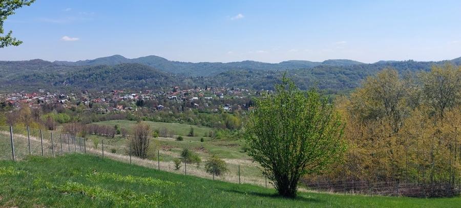 Teren Construcții intravilan de 9900 mp, în Mușcel