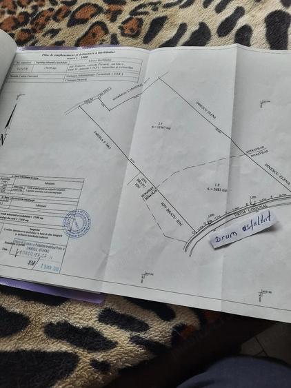 Teren de 17650 mp, în Păcureți