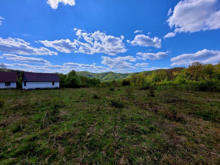 Teren de 70000 mp, în Șerani
