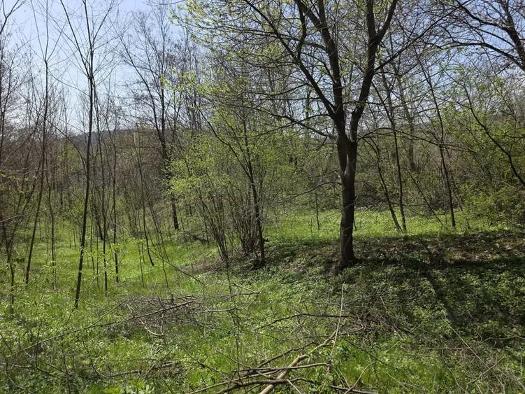 Teren de 2070 mp, în Brebu