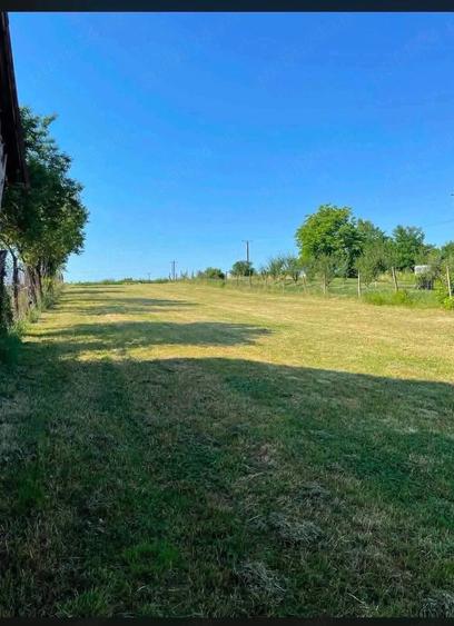 Teren de 1200 mp, în Daia