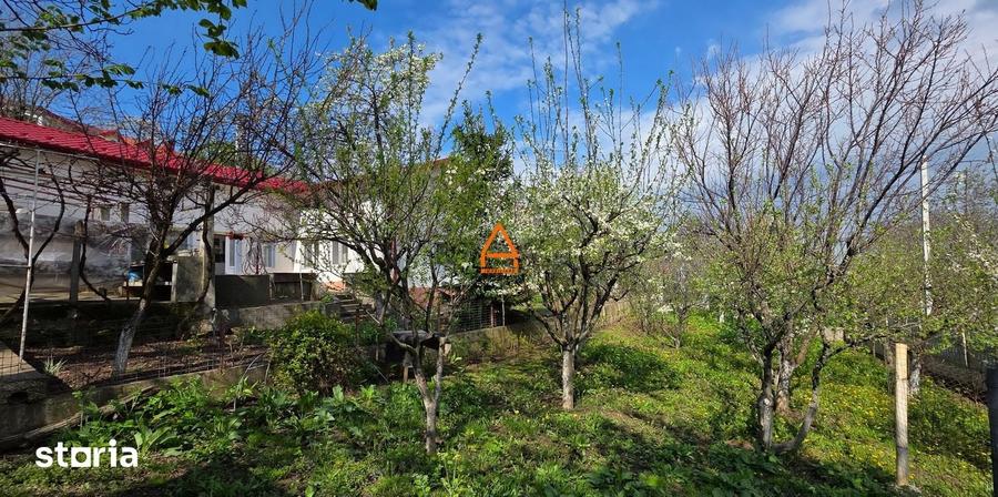 Casă cu 3 camere cu Teren 1024 Mp în Bucium