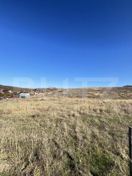 Teren agricol extravilan de 3300 mp, în Exterior Vest