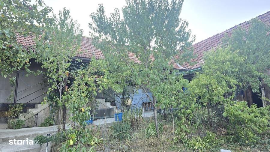 Casă cu 3 camere cu Teren 766 Mp în Viile Noi