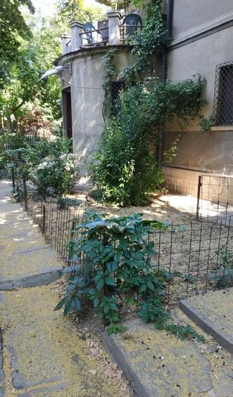 Apartament 3 camere/ 2' Metrou 1 Decembrie/ Nemobilat/ Birouri/ Pets - 10