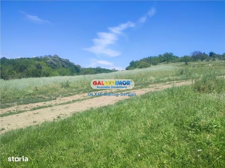 Spațiu comercial, în Răzvad