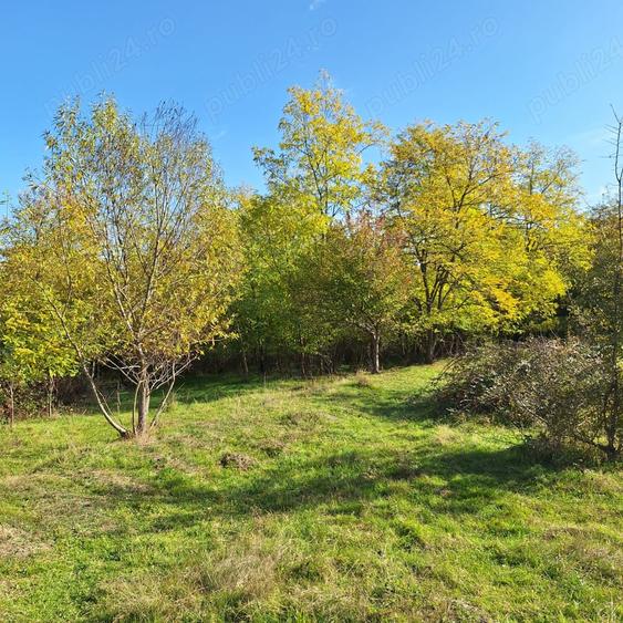 Teren de 5498 mp, în Central