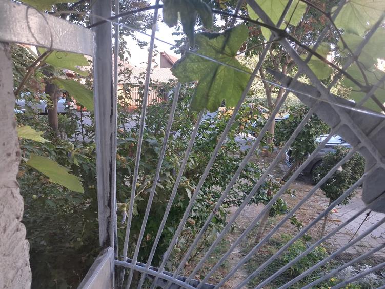 Apartament cu 2 camere decomandat în Dacia