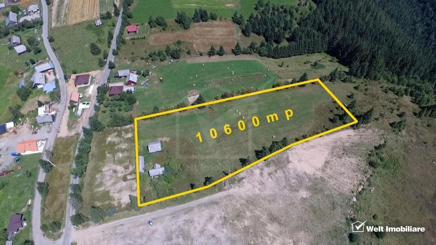Teren Construcții intravilan de 10600 mp, în Râșca