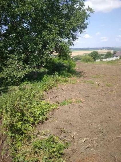 Teren de 600 mp, în Dancaș