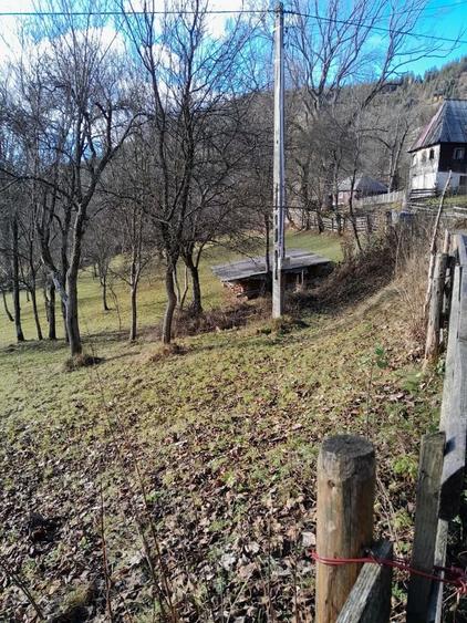 Teren de 1398 mp, în Albac