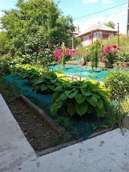 Casă individuală cu 4 camere cu Teren 1997 Mp în Mica
