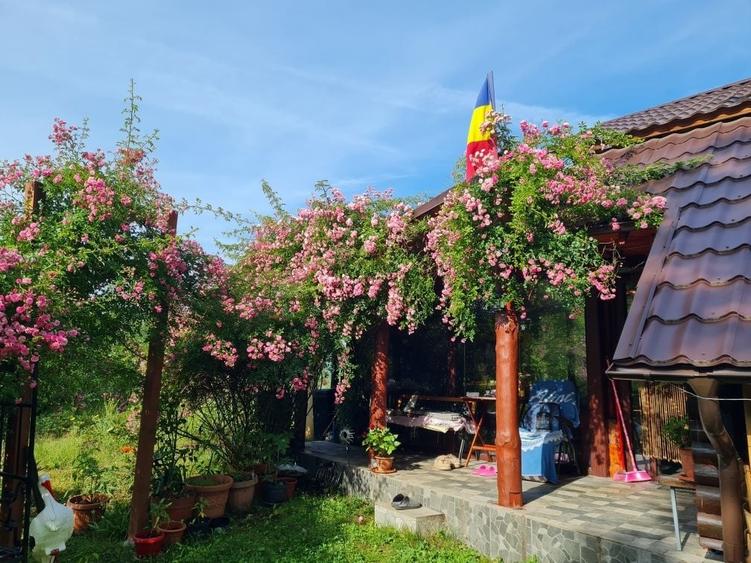 Casă cu 3 camere în Central