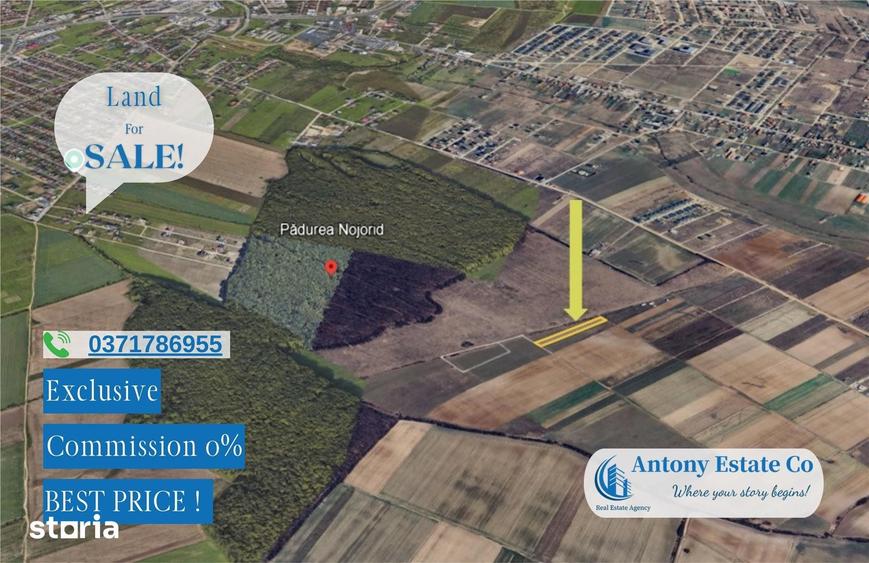 Antony Estate | Oportunitate de investitie - Teren Cihei, langa Padure - 6