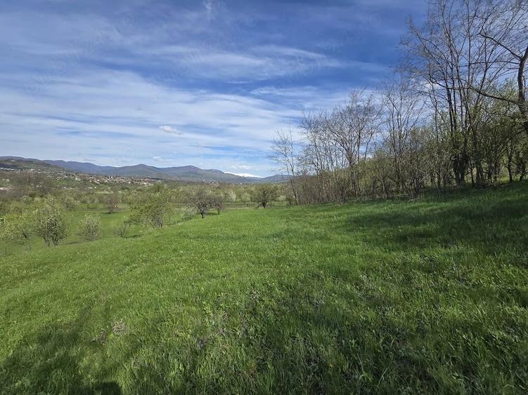 Teren extravilan 2500 mp Izvoarele Jud . Prahova - 7