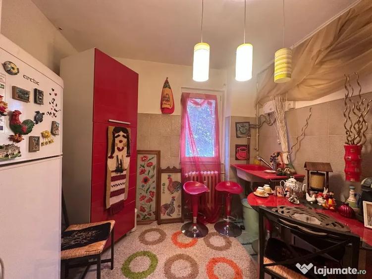 VIGAFON - Apartament 2 camere Nord-Cameliei - 4