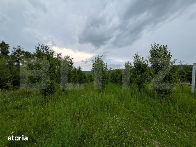 Teren de 4500 mp, în Voinești