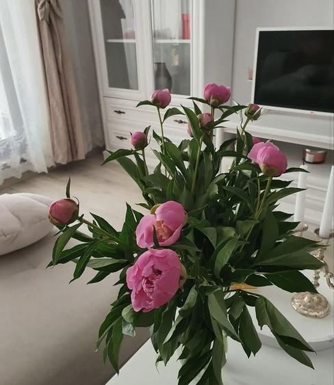 Apartament cu 2 camere decomandat în Sălaj