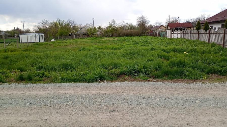 Teren Construcții intravilan de 1000 mp, în Floroaica